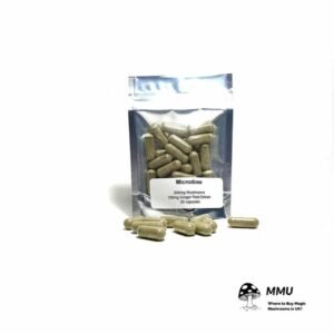Microdose Ginger Root Extract UK